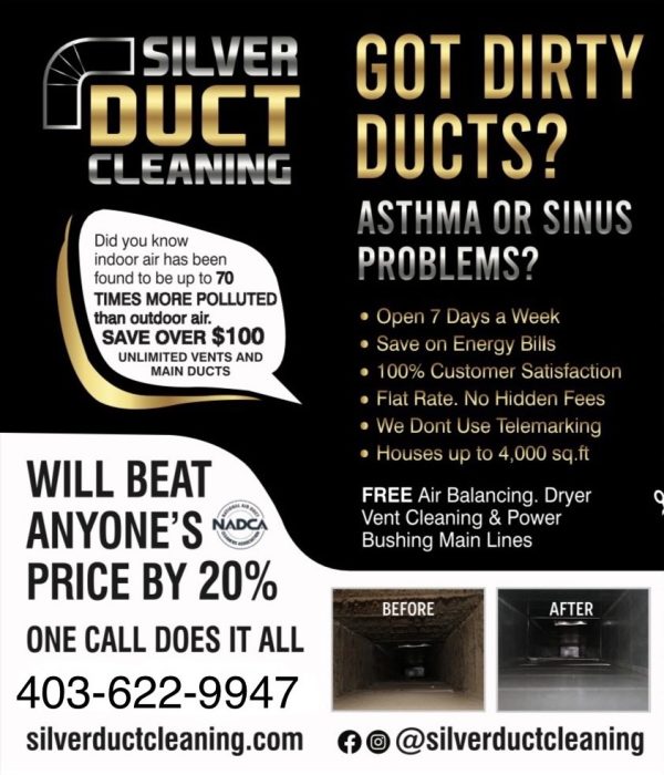 Silver duct store cleaning